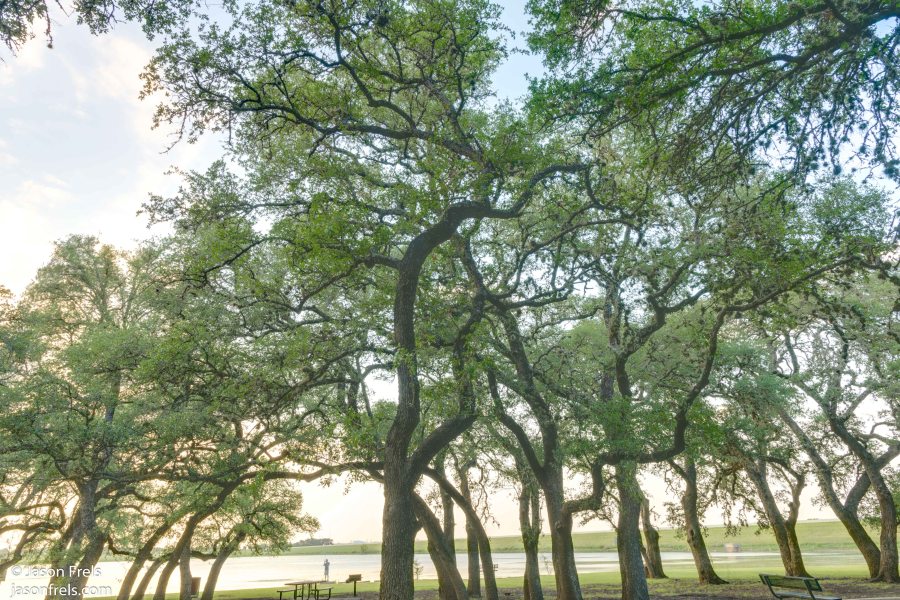 Devine Lake Park Leander Texas HDR