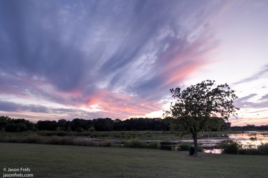 DSC_0077_78_79_80_81_82_83-2