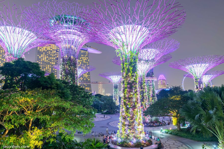Singapore Super Trees in HDR