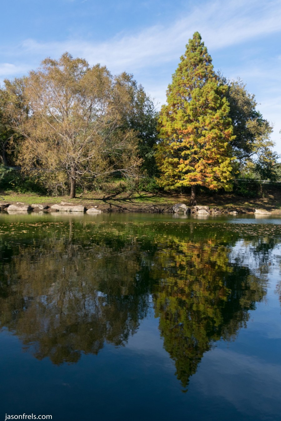 Austin-Texas-Fall-Color-Reflection