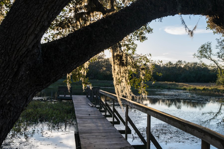 A cattle stock tank in Texas