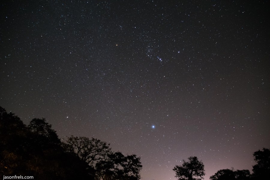Orion in the night sky near Victoria Texas