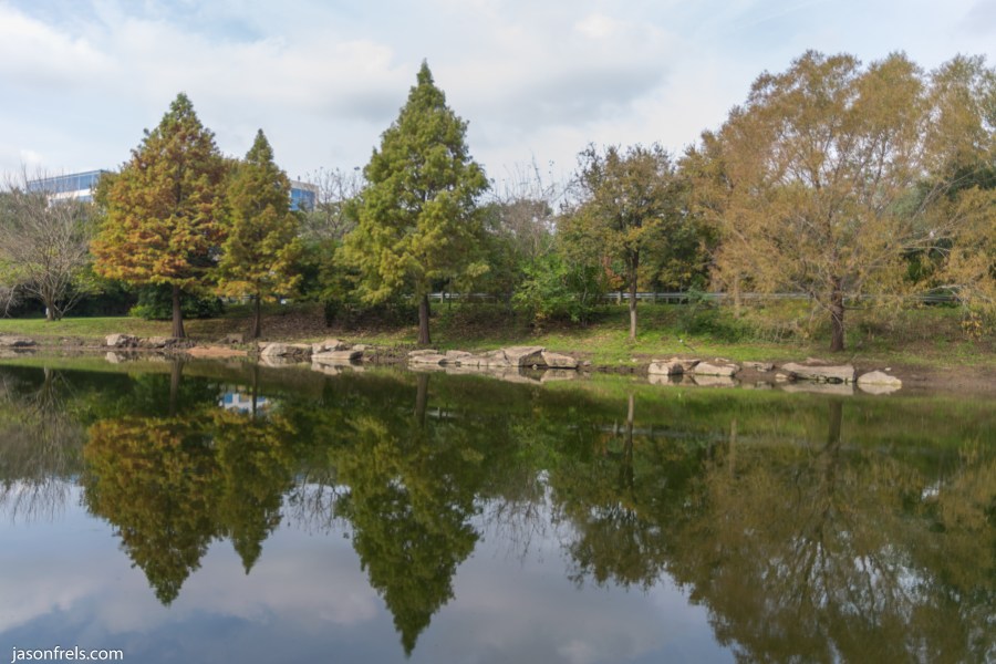 Fall colors reflected in Austin