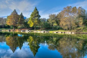 Fall colors reflected in a pond in Austin (HDR)