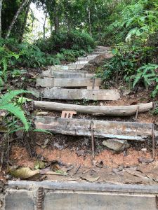 Hiking trail steps in Penang Malaysia