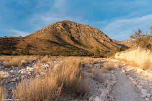 Guadalupe Mountains National Park trail