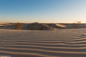Monahans Sandhills State Park evening sun