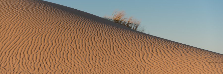Monahans Sandhills State Park morning sun