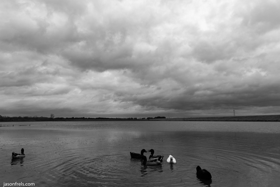 Devine Lake park in Leander on a gloomy day on a gloomy day