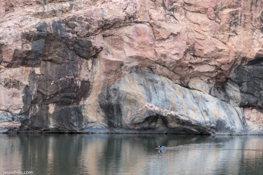 Inks Lake duck reflections