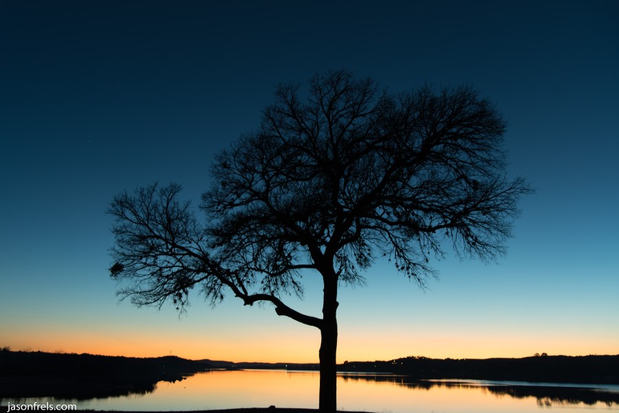 Silhouette of a tree at twilight at Inks Lake Texas