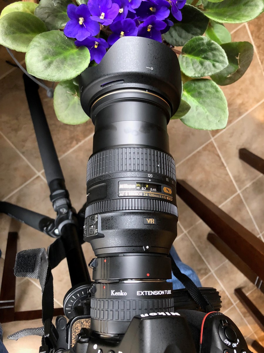 Nikon D750 DSLR with kenko extension tubes macro shot with iPhone 8