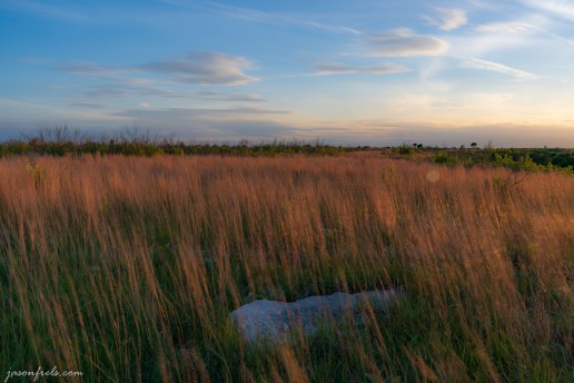 Long exposure grass in wind Balcones Canyonlands NWR at sunset