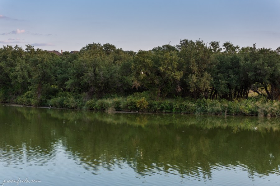 Reflections at Brushy Creek Park