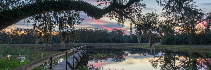 HDR merge of blue hour over pond