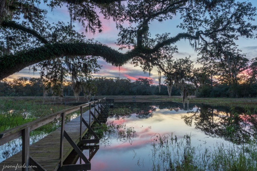 HDR merge of blue hour over pond