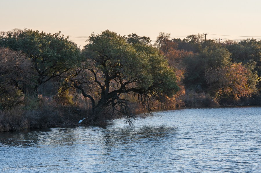 Brushy Creek Park in Cedar Park Texas