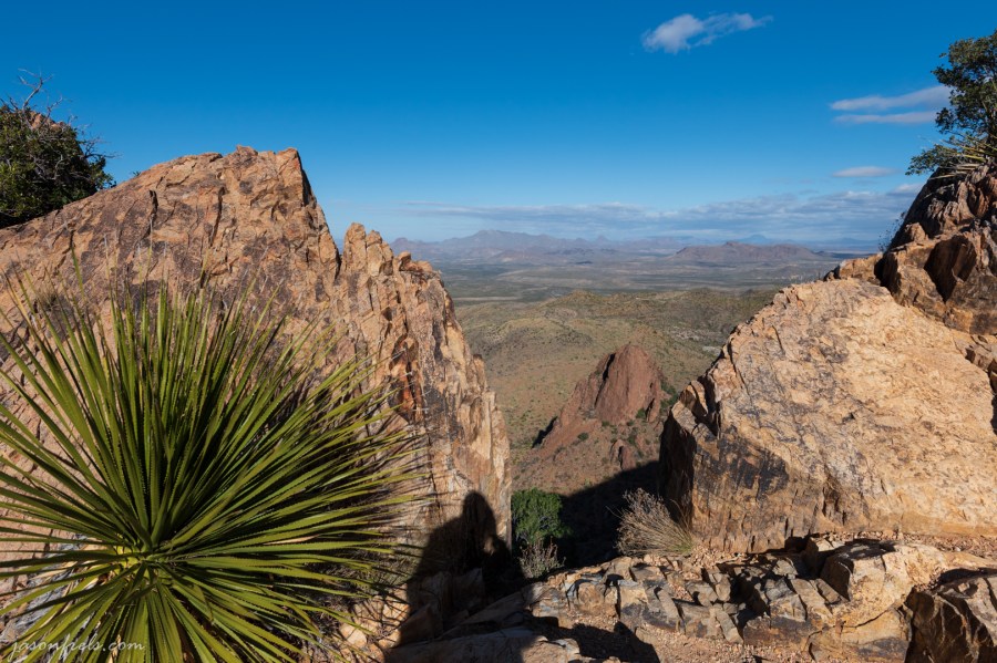 View from Oak Springs Trail at Big Bend National Park