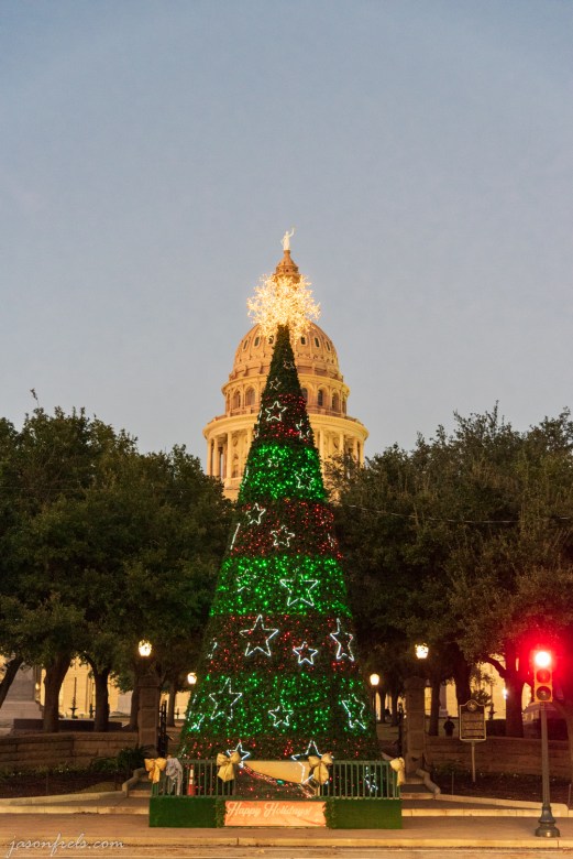 Capitol Building Christmas Tree in Austin Texas