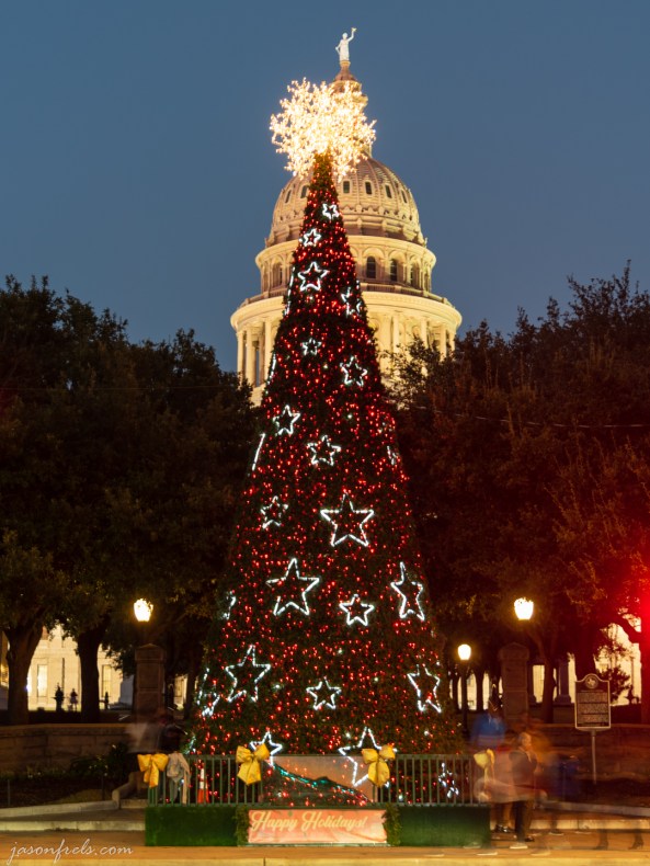 Texas Capitol Christmas Tree in Austin