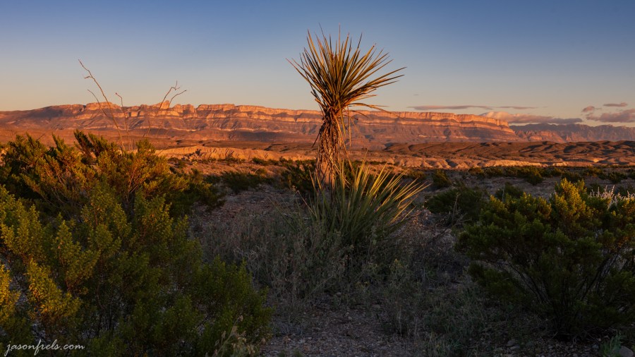 Sierra Maderas del Carmen from Big Bend National Park