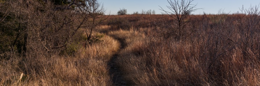 Indian Grass Trail at Balcones Canyonlands National Wildlife Refuge in Central Texas