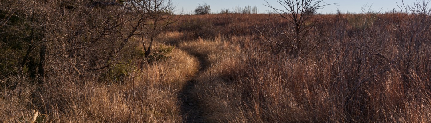 Indian Grass Trail at Balcones Canyonlands National Wildlife Refuge in Central Texas