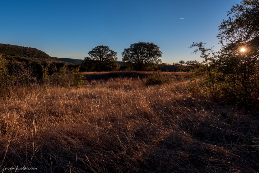 Golden grass in late afternoon sun at Balcones Canyonland National Wildlife Refuge