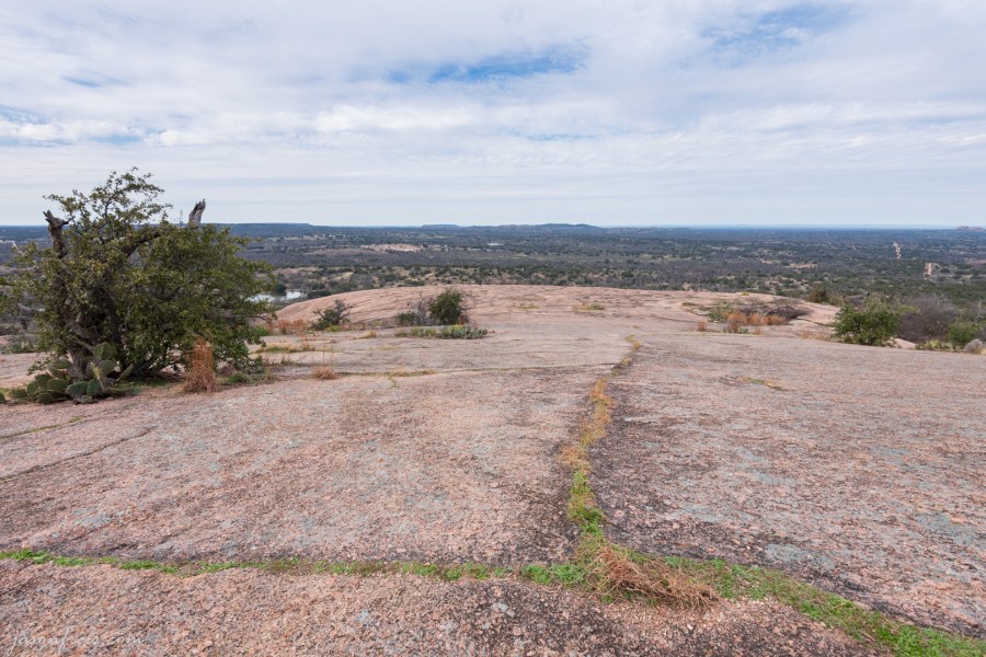 Grassy cracks and trees on Enchanted Rock