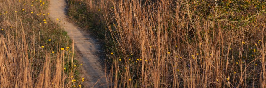 Hiking trail at Balcones Canyonlands National Wildlife Refuge
