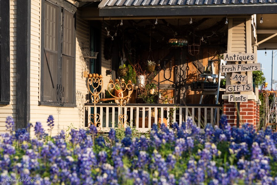 Bluebonnets and Antique store in Leander Texas