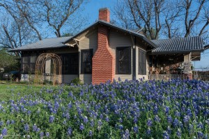 Bluebonnets and Antique store in Leander Texas