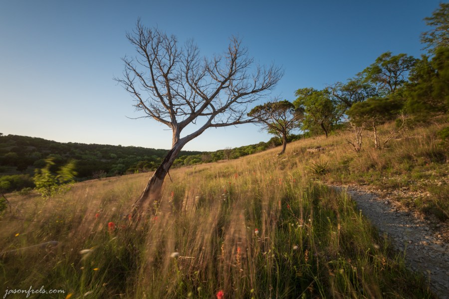 Long exposure in Balcones Canyonlands National Wildlife Refuge