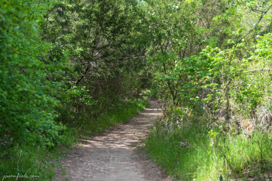 River Trail at Colorado Bend State Park