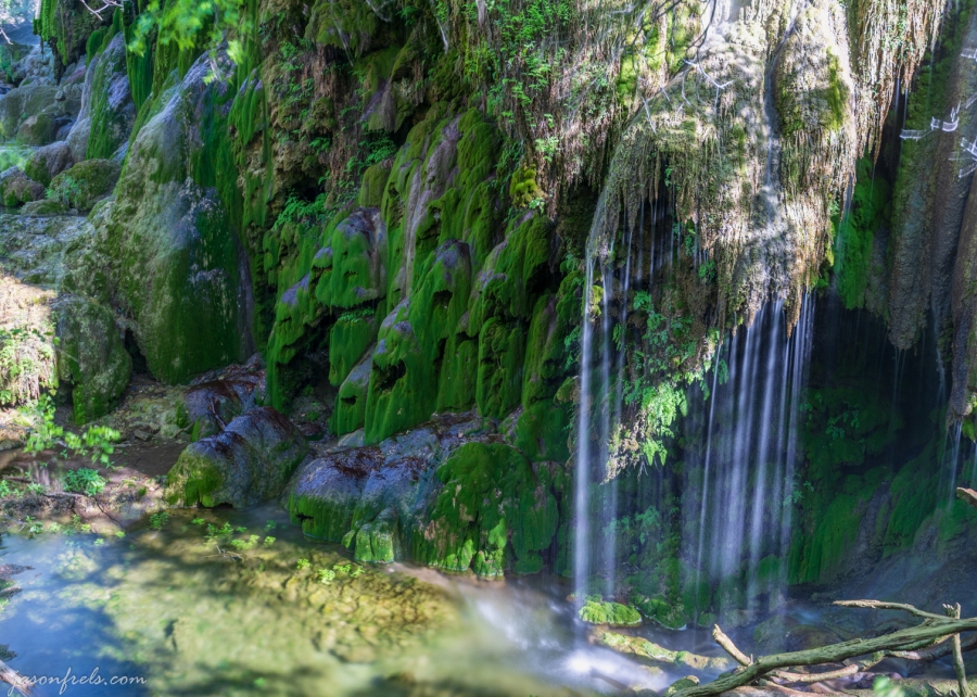 Mossy rocks at Gorman Falls in Colorado Bend State Park