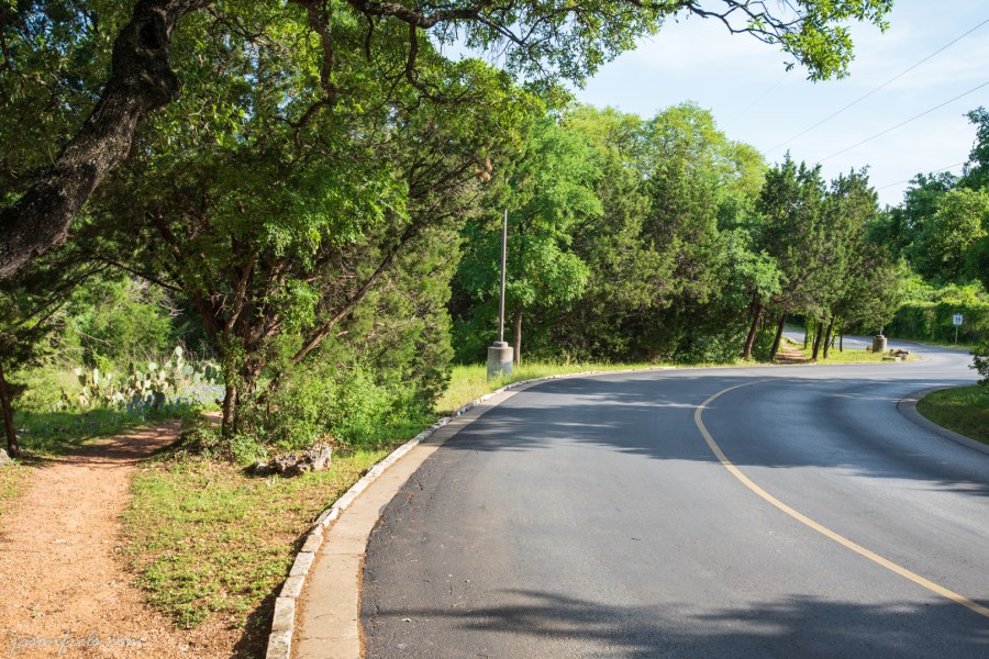 Roadside_Bluebonnets-4