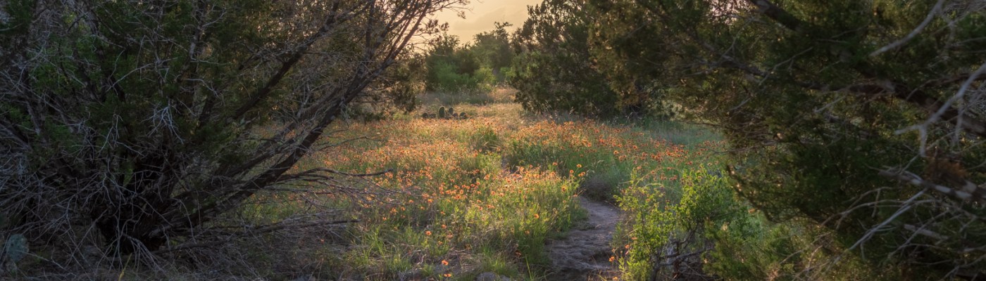 Wildflowers and Hiking Trails at Balcones Canyonlands National Wildlife Refuge HDR