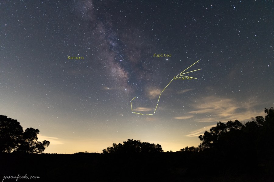 Scorpius from Pedernales Falls State Park