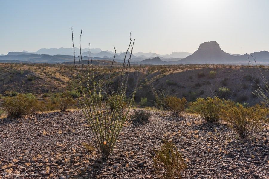 Desert Landscape at Big Bend National Park