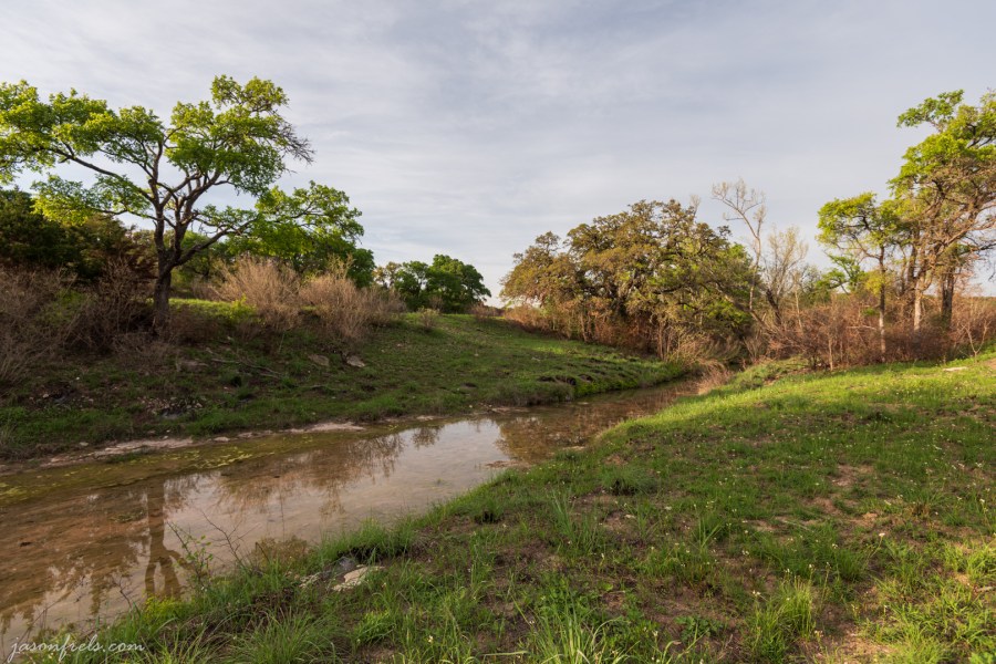 Balcones-Canyonlands-National-Wildlife-Refuge-wildflowers-1
