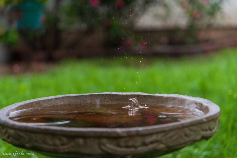 birdbath-raindrops-2