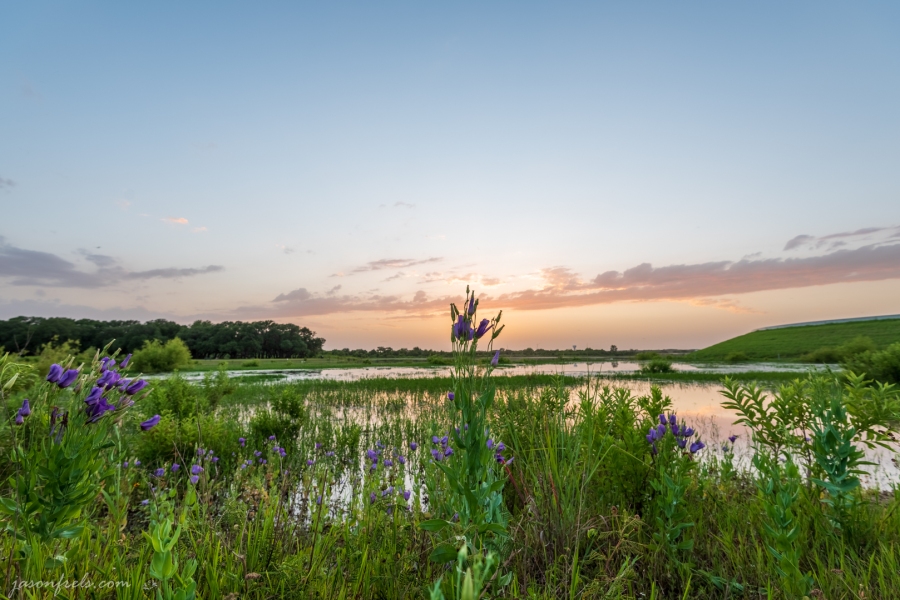 Sunset and Purple Flowers at Devine Lake