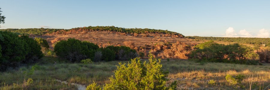 Burned Hill Side at Balcones Canyonlands