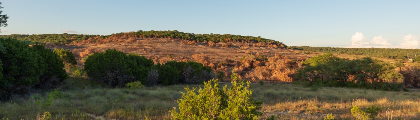 Burned Hill Side at Balcones Canyonlands