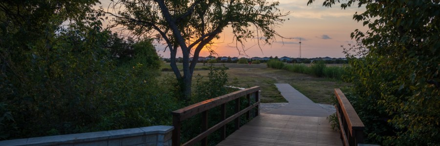 Footbridge at the Park