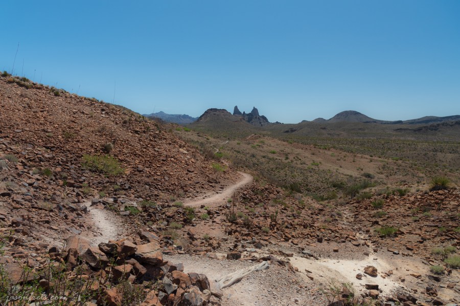 The Mule Ears Hiking Trail at Big Bend