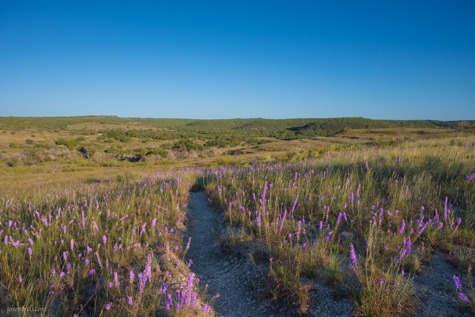 Balcones-Canyonlands-NWR-Indiangrass-Trail-2